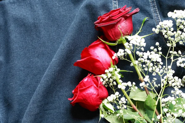 Roses On Denim — Stock Photo, Image