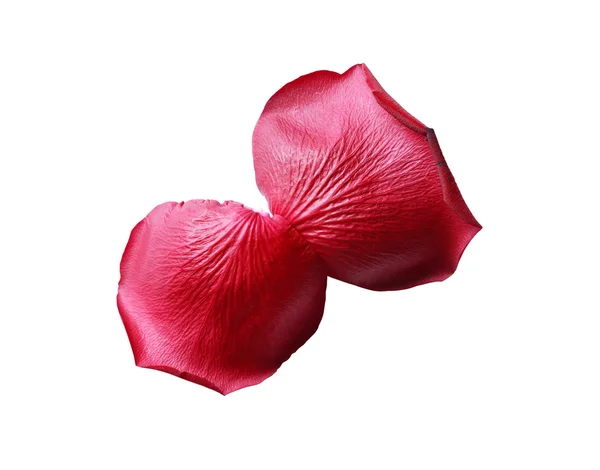 Petali di rosa rossa — Foto Stock