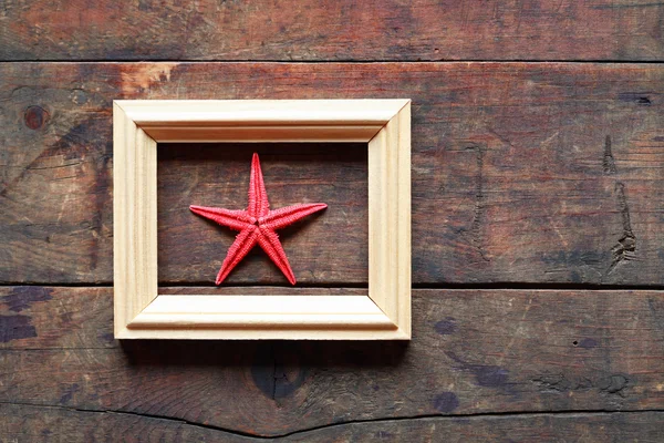 Starfish no quadro — Fotografia de Stock