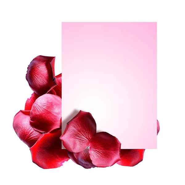 Rose Petals wenskaart — Stockfoto