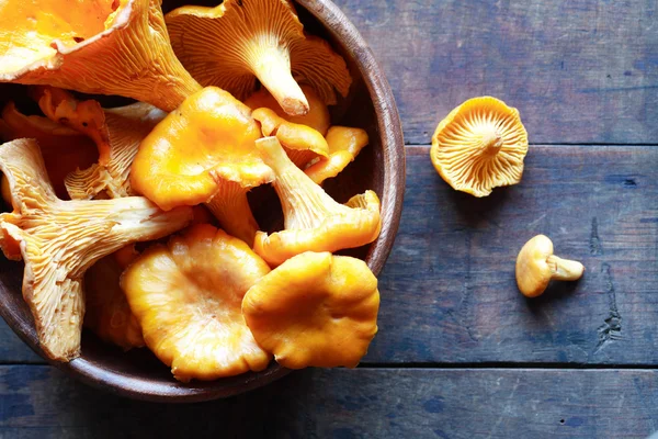 Mushrooms In Bowl — Stock Photo, Image