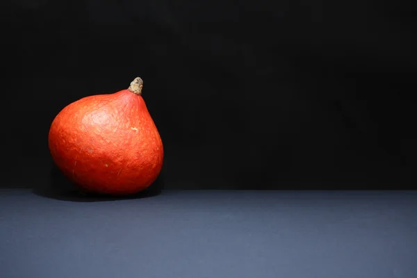 Op donker pompoen — Stockfoto