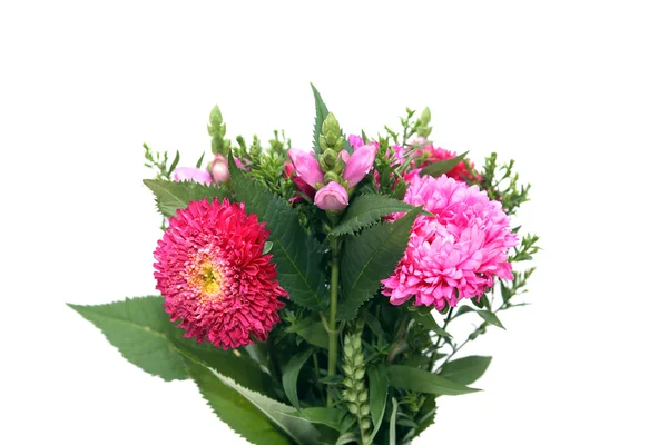 Blomsterklase — Stockfoto