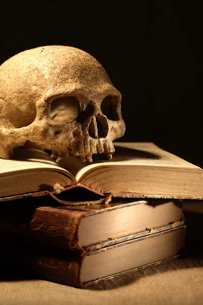 Kafatası üzerinde kitaplar — Stok fotoğraf