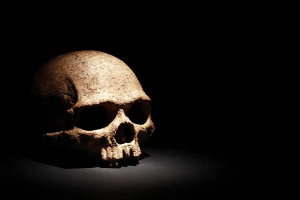 Skull On Black — Stock Photo, Image