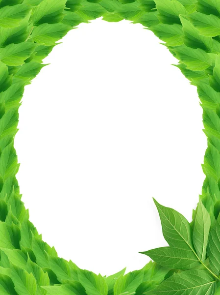 Green Leaves Frame — Stock Photo, Image