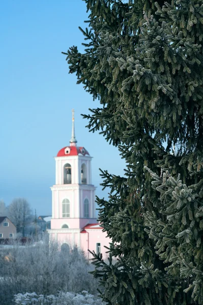 Sapin et église — Photo