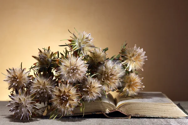 Flores e livro — Fotografia de Stock