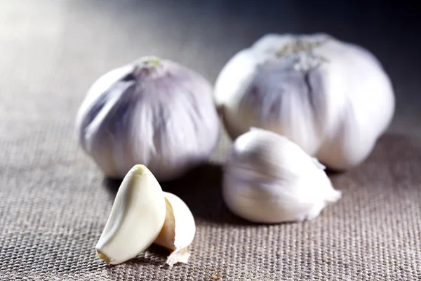 Knoblauch auf Leinwand — Stockfoto