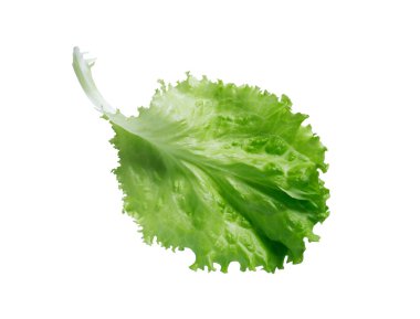 Yeşil marul salatası