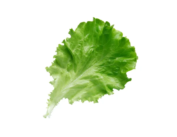 绿色生菜沙拉 — 图库照片