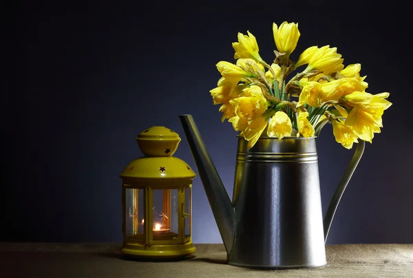 Still Life With Watering Can — Stock Photo, Image