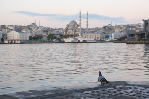 Набережная Золотого Рога
