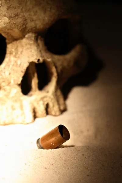 Skull And Cartridge — Stock Photo, Image