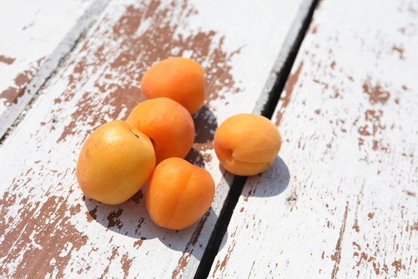 Abricots sous le soleil — Photo
