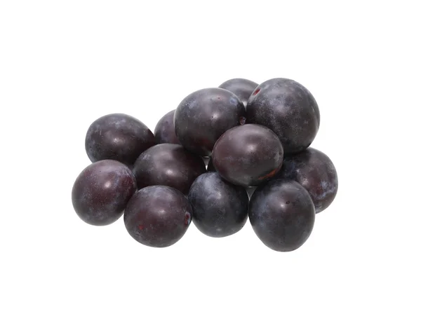 Plum On White — Stock Photo, Image