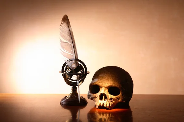 Skull And Quill Pen — Stock Photo, Image