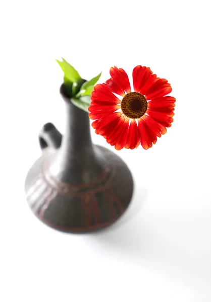 Flor roja — Foto de Stock