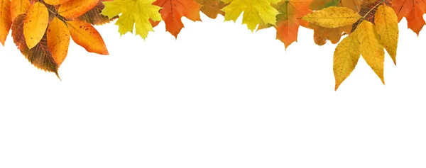 Outono Folhas Fronteira — Fotografia de Stock