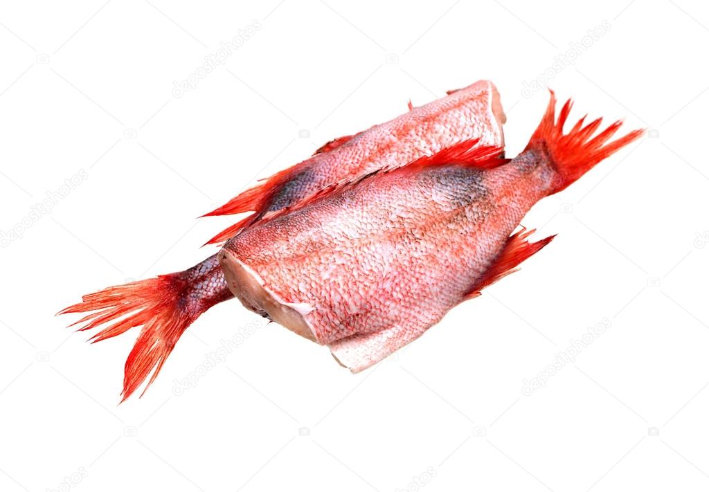 Raw Fish On White