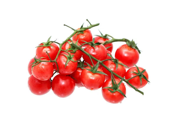 Tomates cerises sur blanc — Photo