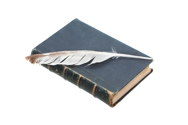 Eski kitap ve tüy kalem — Stok fotoğraf