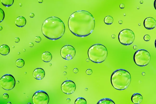 Gröna droppar bakgrund — Stockfoto