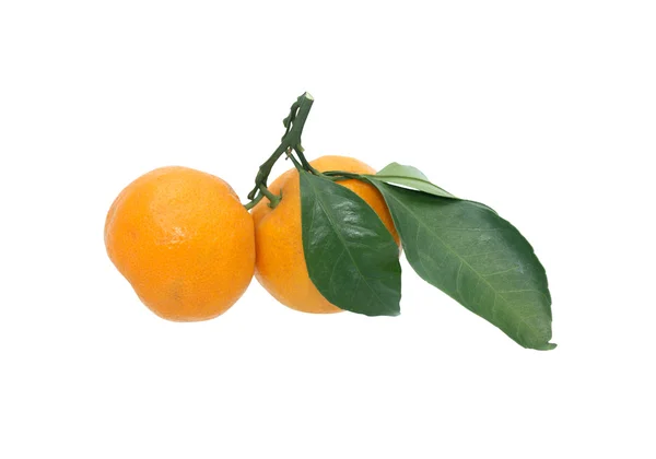 Tangerines On White — Stock Photo, Image