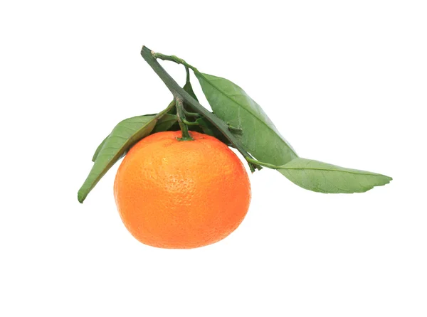 Tangerine On White — Stock Photo, Image