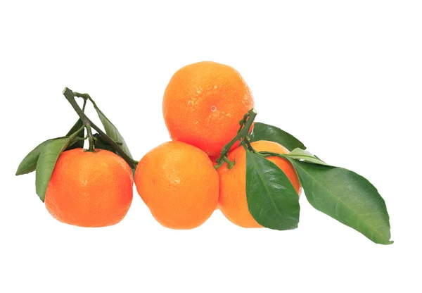 Tangerines On White — Stock Photo, Image