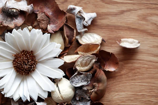 Çiçek aroması dekorasyon — Stok fotoğraf