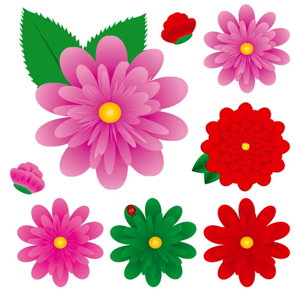 Gerberas — Vector de stock