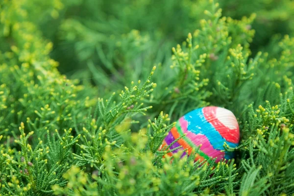 Striped easter egg — Stock Photo, Image