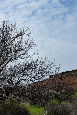 dağ bahar manzara mavi gökyüzü ile