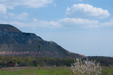 bitki örtüsü ile kaplı banka atık