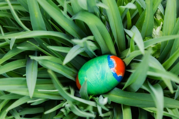 Easter egg in plant. nature — Stock Photo, Image