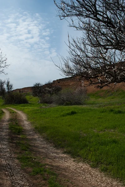 Forest sandy winding road. landscape — Stock Photo, Image