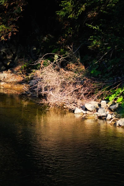 Krajobraz z koryta rzeki w świetle poranka. Natura — Zdjęcie stockowe