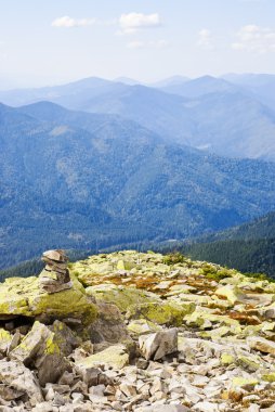 yaprak dökmeyen ağaç dağ manzarası. Doğa