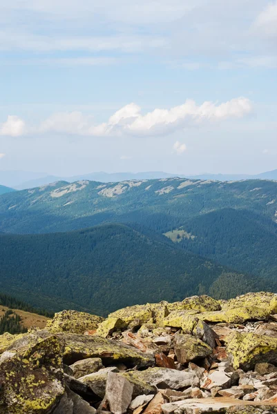 Górski krajobraz z wiecznie zielone drzewo. natura — Zdjęcie stockowe