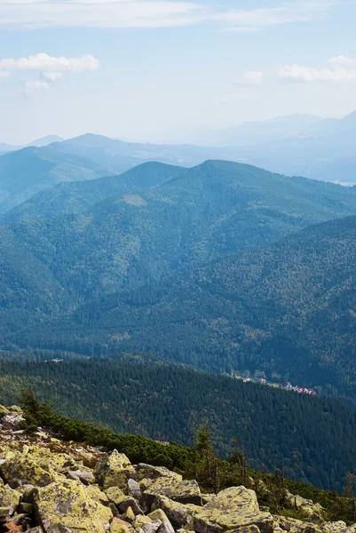 Mountain landscape with evergreen tree. nature — Stock Photo, Image