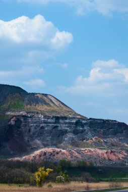 bitki örtüsü ile kaplı banka atık