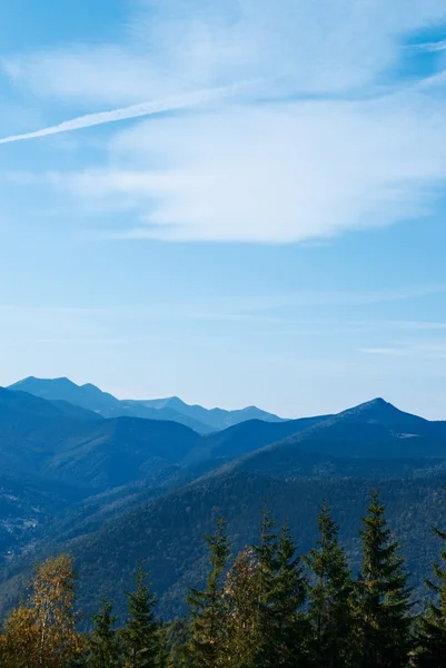 Cárpatos montaña verano paisaje —  Fotos de Stock