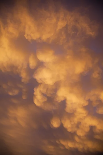 Splendido cielo alba — Foto Stock