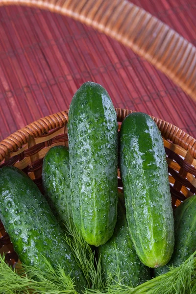 Green cucumbers — Stock Photo, Image