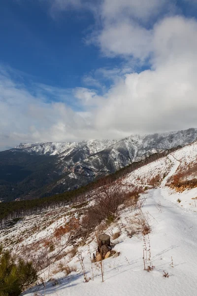 Manzara — Stok fotoğraf