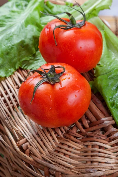 Tomate — Fotografia de Stock