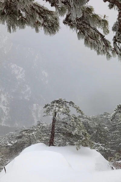 风景 — 图库照片