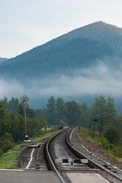 Railway — Stock Photo, Image