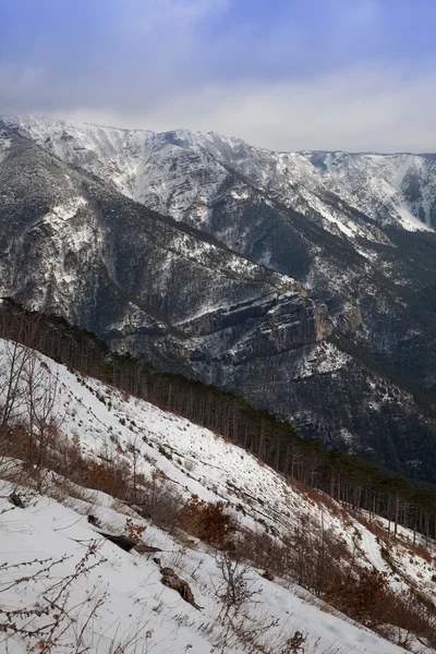 风景 — 图库照片